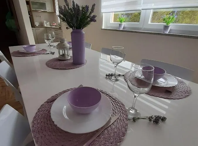 Appartement Dinko *