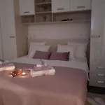 Dinko * Rovanjska