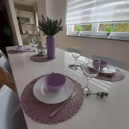 Apartment Dinko *